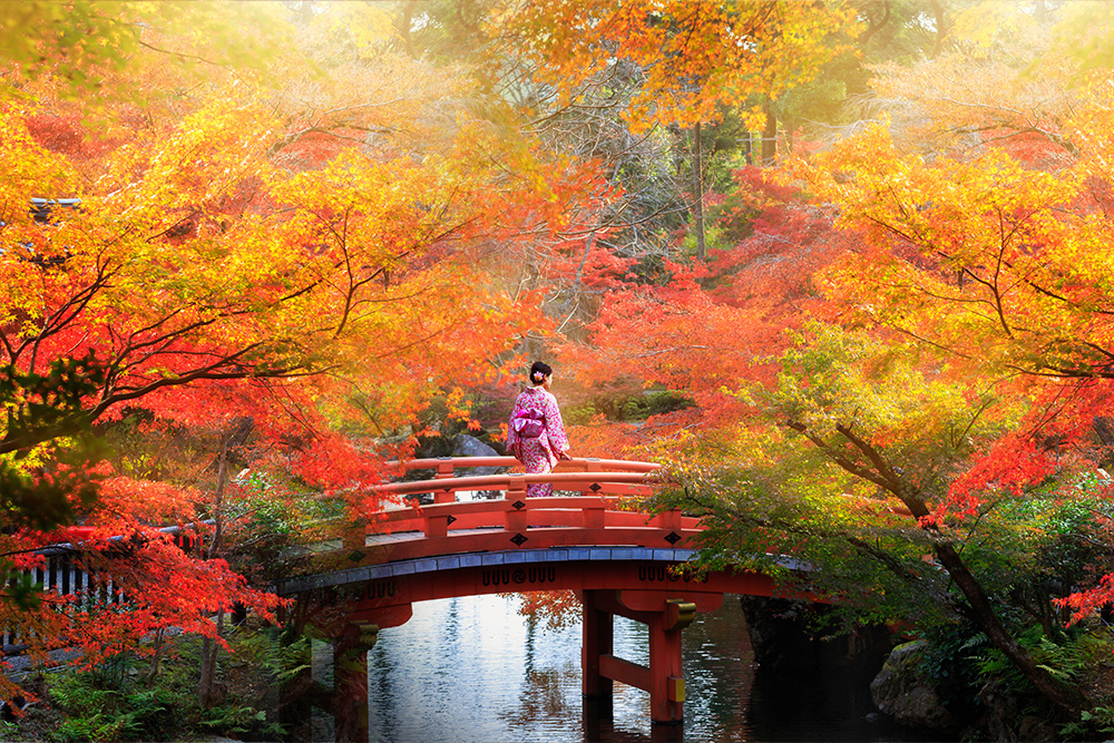 旅遊、文學與行銷翻譯部