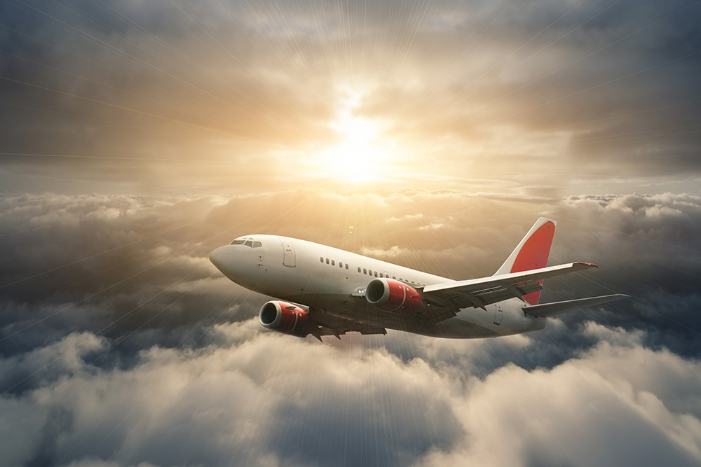 大型觀光與航空相關企業