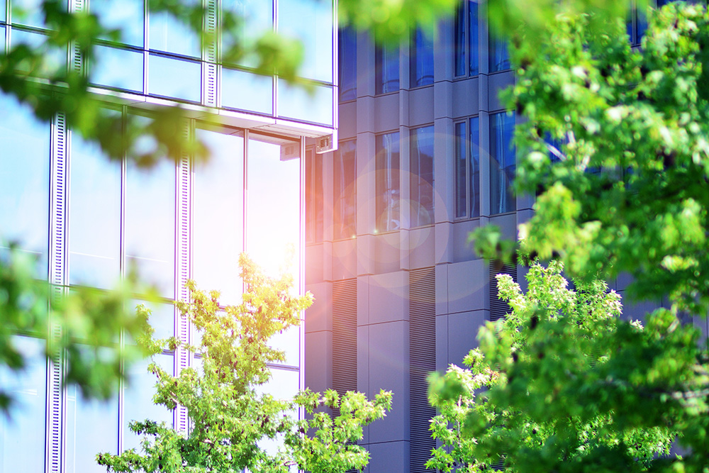 資深日文譯者（ESG永續經營翻譯部門）